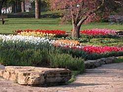 Spring