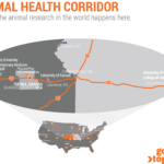 7 GTEP AnimalHealthMap2021