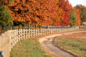 Governor Trail